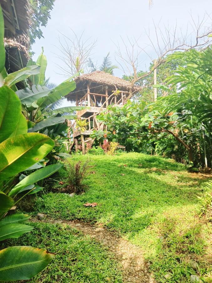 The Living Room Siargao 제너럴 루나 외부 사진